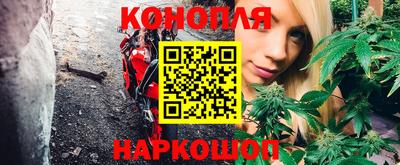 мет Новозыбков