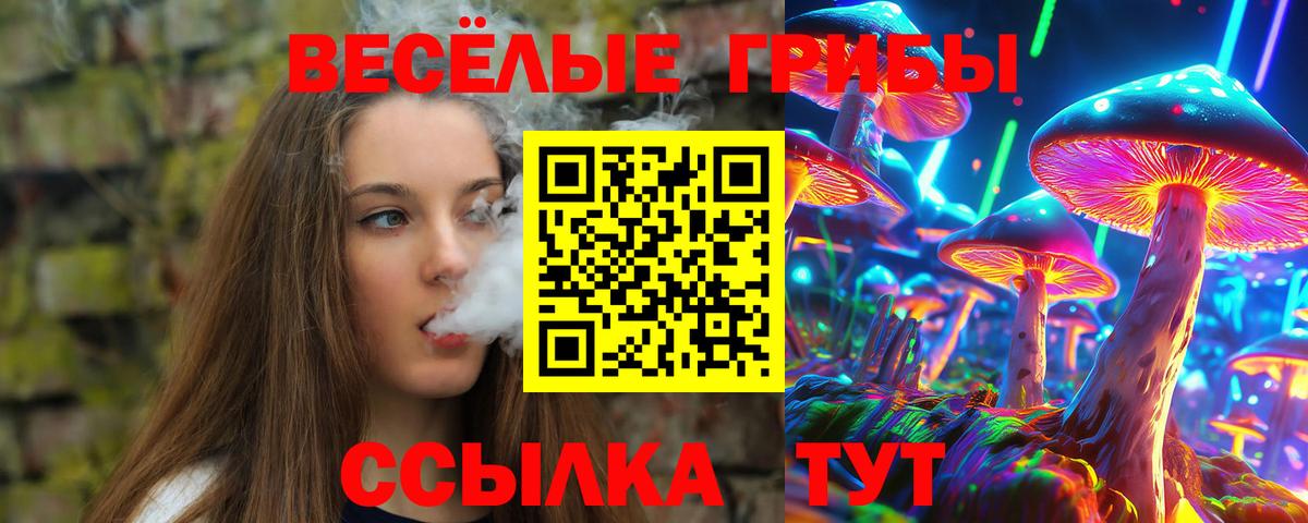 Усть-Джегута  что такое   Вход с VPN  Псилоцибиновые грибы мицелий 