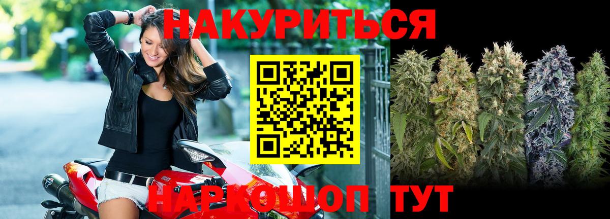 Конопля сатива Усть-Джегута